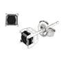 14k White Gold Princess Cut Black Diamond Stud Earrings (1.00 cttw)