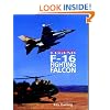 F-16 Fighting Falcon (Combat Legend)