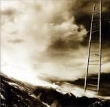 Between Trapezes