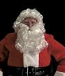 Deluxe Santa Curly Wig & Beard