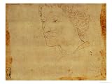410D4VdZjyL. SL160  Portrait of a Boy with Curly Hair, Three Quarters Towards the Left Giclee Poster Print by Lorenzo di Credi, 12x16