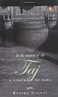 In the Shadow of the Taj: A Portrait of Agra