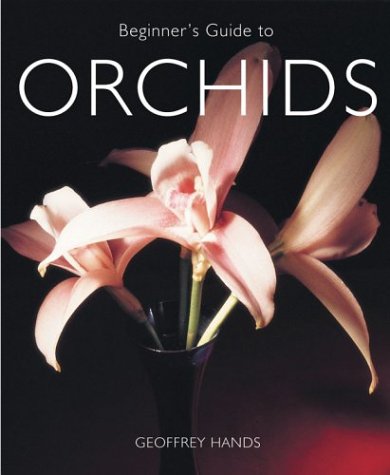 Beginners Guide to Orchids