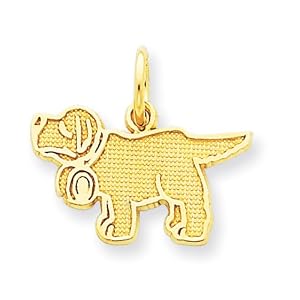 14k Saint Bernard Charm