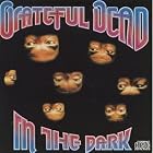 Click here to buy In the Dark by  Grateful Dead .