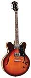 Hollow Body Electric Guitars