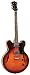 Search : Arbor Hollow Body Electric Guitar, AJ135 Violin Sunburst