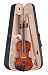 Palatino VN-350 Campus Violin Outfit, 3/4 Size