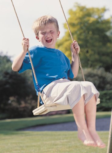 Childrens Toyshop  Toys : Timber Swing Seat