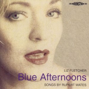 Blue Afternoons by Liz Fletcher (Audio CD - 2009)