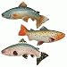 Colorful Fish Magnets 4" 3-pc Set