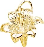 Lily Charm by Rembrandt Charms