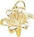 Jewelry : Lily Charm by Rembrandt Charms