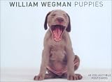 Puppies Postcard Box