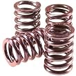 EBC Brakes CSK14 Coil Type Clutch Spring