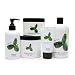 philosophy empowermint, deluxe set 1 set