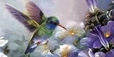 AIRBRUSHED LICENSE PLATES - HUMMINGBIRD - #914