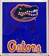 Florida Gators Light Switch Cover (double)