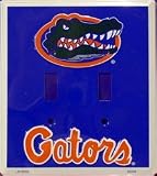 Florida Gators Light Switch Cover (double)