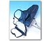Trubend GS30 Back Carrier