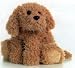 Plush Labradoodle Dog Flopsie 12