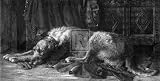 Irish Wolfhound Poster Print