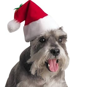 Santa Claws Holiday Dog Hat Size Small