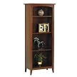 Madison Ave Bookcase