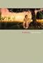 Kate Rusby - Live from Leeds