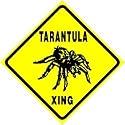 TARANTULA CROSSING sign * street spider