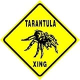 TARANTULA CROSSING sign * street spider