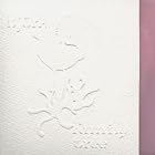 Click here to buy Family Tree by  Bjork .