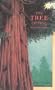 The Tree of Time: A Story of a Special Sequoia