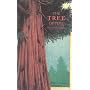 The Tree of Time: A Story of a Special Sequoia