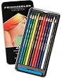 Prismacolor 3596T Pen/Pencil Set - Thick Core Colored Pencil Set Assorted Lead 12 / Set