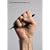 Lella and Massimo Vignelli (International Graphic Design)