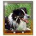 Dogs Border Collie - Border Collie - Desk Clocks