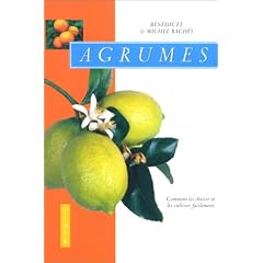 Agrumes : Comment les choisir et les cultiver facilement