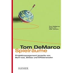 Spielr�ume. Projektmanagement jenseits von Burn-out, Stress und Effizienzwahn.