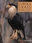 Hawks, Eagles & Falcons of North America: Biology and Natural History