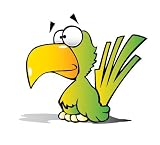 Children's Wall Decals - Cartoon Parrot - 12 inch Removable Graphic