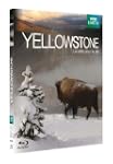 Yellowstone, la lutte pour la vie [Bl...