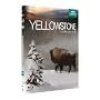 Yellowstone, la lutte pour la vie [Blu-ray] <b>Blu-ray</b> ~ Peter Firth