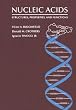 Nucleic Acids: Structures, Properties, and Functions