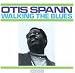 Image of Walking the Blues