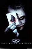 The Dark Knight Entertainment Poster Print, 22x34