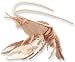 Lobster 3D Woodcraft Construction Kit