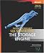 Inside Microsoft SQL Server 2005: The Storage Engine (Solid Quality Learning)