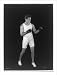 Historic Print (L): [Gene Tunney, full-length portrait, standing, facing right, wearing shorts and boxing gl
