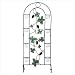 Metal Grapevine Candle Screen